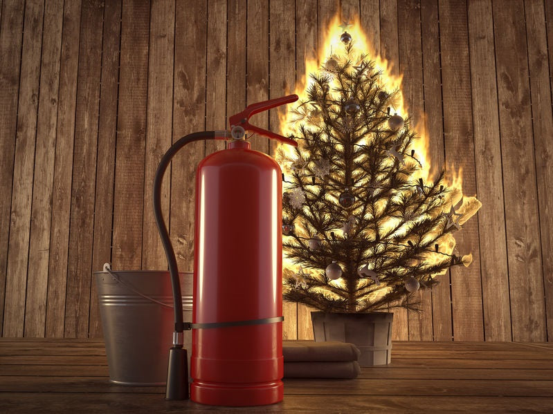 Keeping Your Home and Business Safe this Christmas
